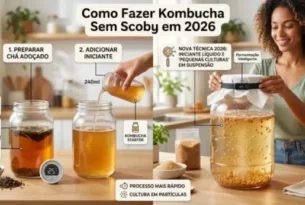 Como Fazer Kombucha Sem Scoby em 2026