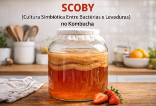 SCOBY (Cultura Simbiótica Entre Bactérias e Leveduras) no Kombucha