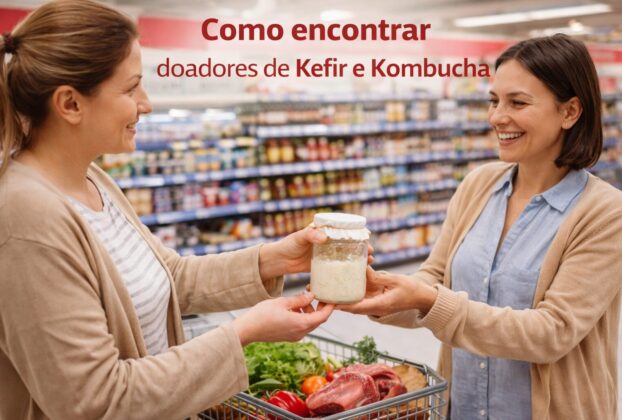Como encontrar doadores de grãos de Kefir e Kombucha em 2026